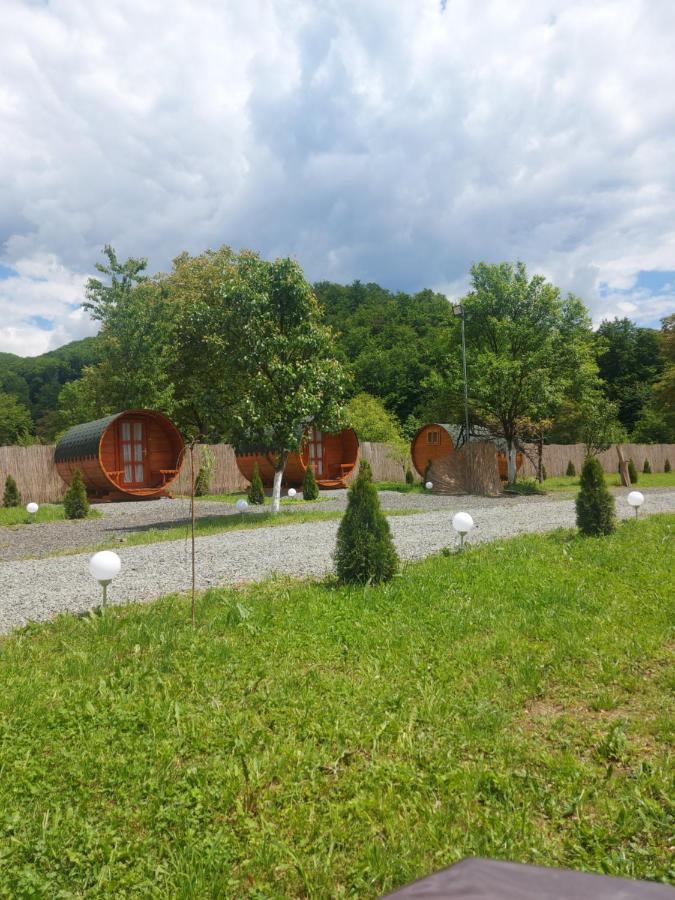 Casa Hoban Apartamento Baia Mare Exterior foto